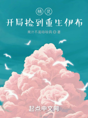 精灵开局捡到重生伊布全本免费
