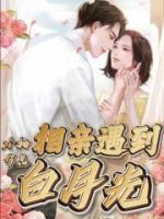 相亲相到白月光美人老师魏挽之