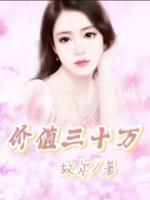 价值三十万的房子过户费多少