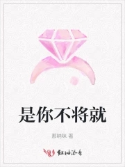 不将就是谁的歌