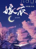 嫁衣案全本