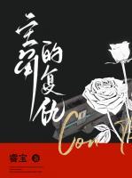 主妇的复仇日剧