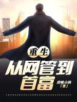 重生从网络巨头到科技霸主