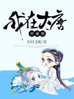李世民 穿越 赵构