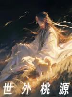 女主是陆玲珑的