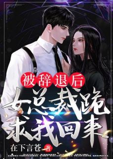 被辞退后女总裁跪求我回来