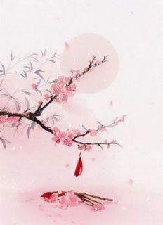 薛慕雪江皓川