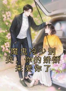 盛洛暖冷肆夜福利