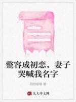 妻子整容苦留丈夫心