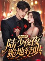 禁止离婚!陆少夜夜跪地轻哄免费阅读