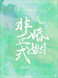 非正式婚姻TXT雾里青