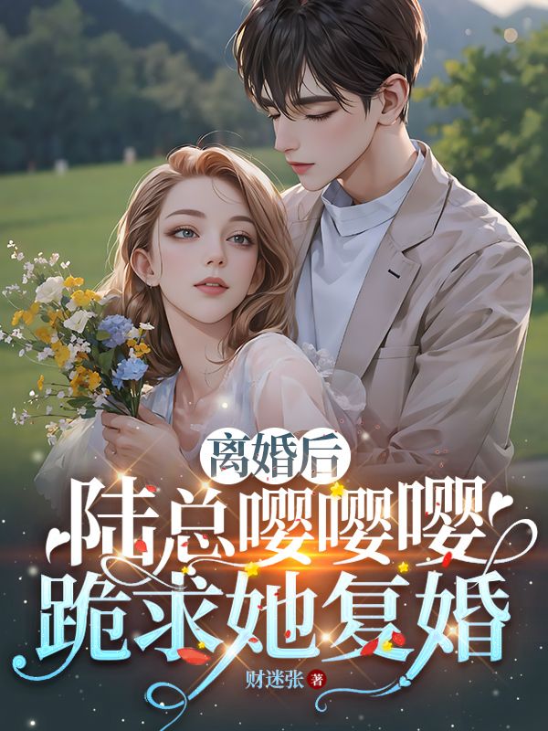 陆总裁请离婚免费阅读