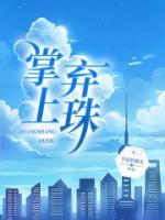 掌上弃珠by