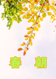 春朝的读音