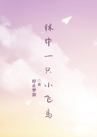 林中一只小飞鸟by停止梦游po