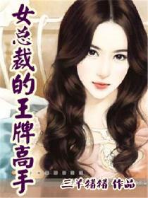 女总裁的王牌高手结局