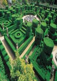 迷宫之谜解锁机关