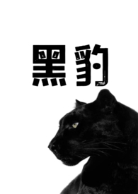 黑豹(1v1兽人h)_最新章节