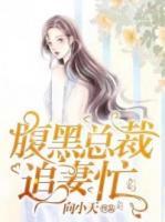 腹黑总裁追妻忙免费全书