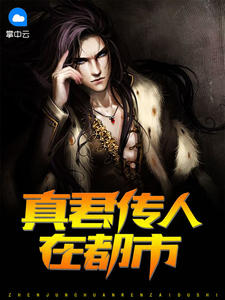 叶楚月轩辕宸无弹窗