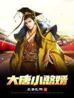 大唐憨婿全集完整版