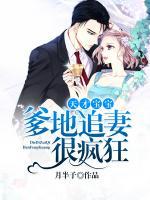 天才宝贝爹地疯狂追妻