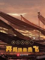 重生大宋救美女