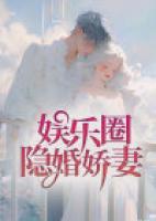 娱乐圈隐婚甜文免费读全文