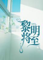电视剧拆案黎明将至