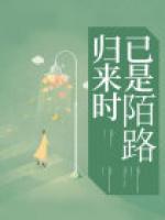 归来已是陌路人合集