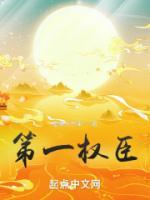 第一权臣是病美人免费阅读