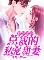 傅少的心尖妻