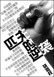 匹夫的逆袭正版免费阅读