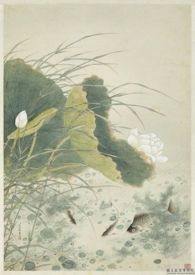 诗经郑风野有蔓草