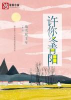 许你冬至晴天作者析伽