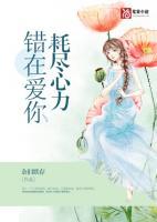 错在爱你耗尽心力(季暖