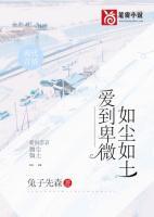 爱得卑微到尘埃里