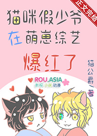 假猫百科