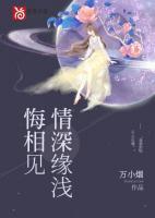 情深缘浅全句