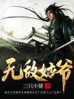无敌姑爷赵飞扬苏雨萱免费