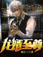 龙婿至尊第12集免费观看视频
