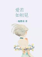 爱若如初见歌词是什么歌