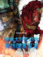 诸葛亮在韩国的影响