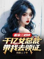 秦尘顾雅茗闪婚