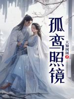 孤鸾照镜的典故
