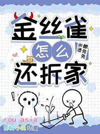 金丝雀怎么拆家讲的什么