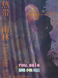 热带雨林歌曲