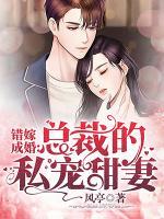 秦舒褚临沉短剧免费全集