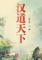 汉道天下顶点