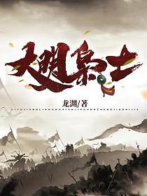 大明枭士TXT奇书网